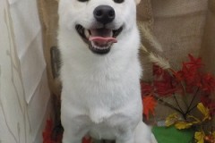 すっきりした♪