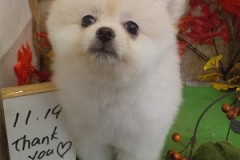 ぼく、がんばったよ♫