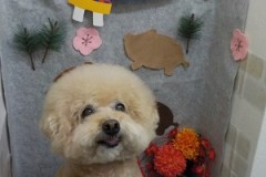 ふんわりまーる！