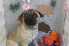 さっぱりしたぜ～♪