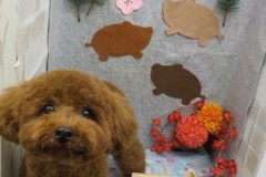 可愛くなった＾＾