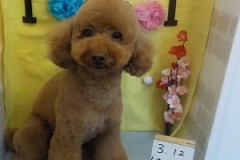 可愛くなった♬