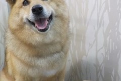 気持ち良かったぁ～♫