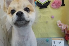 すっきり～～♫