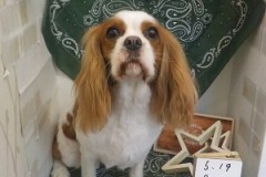 短くなったよ🎶