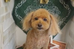 すっきり可愛くなった♬