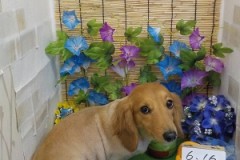 ツルっとしたわ♫