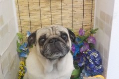 綺麗にしてくれありがとう♪