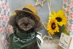 可愛くなったよ♫