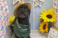 似合うでしょ♬