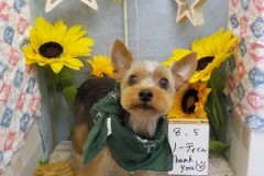 可愛くなったよ♬