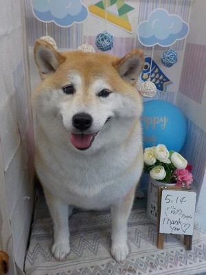 綺麗になった♫