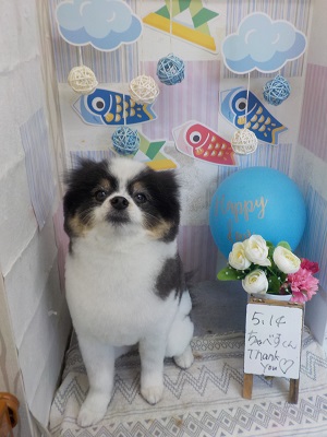 まるっとしたよ♫