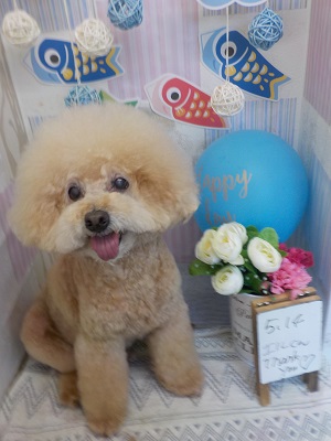 いつもありがとう♪