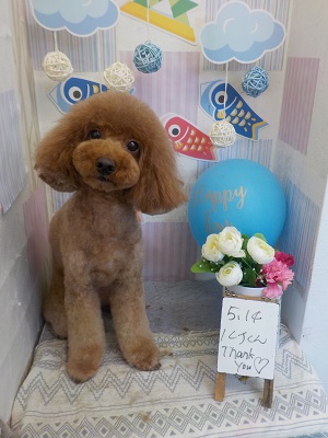 可愛くしてくれてありがとう♪