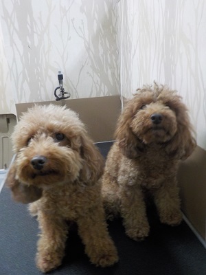 いつも通りね~!!