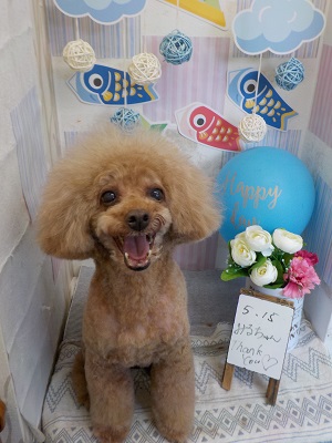 いつもありがとう～♫