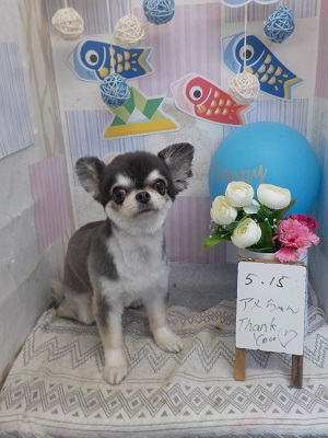 さっぱり短くなった♫