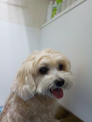 今日はハーブパックも！！