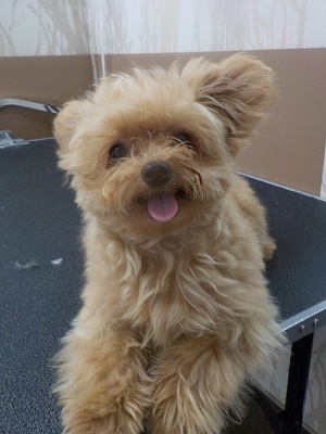 また来たよ～！！