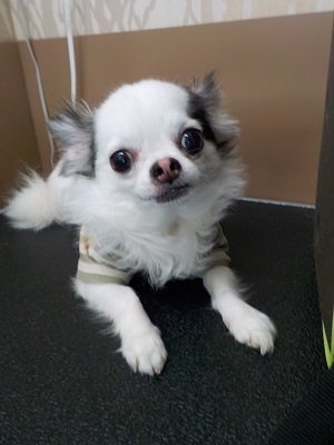 いつも通りね。