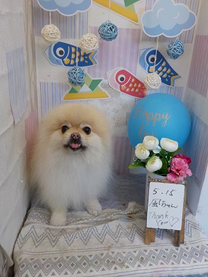 ふわふわだよ♫