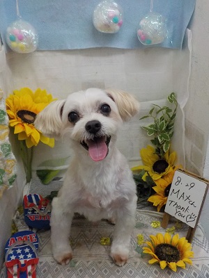 可愛くなったよ♪