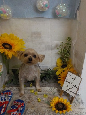 今日もすっきり可愛くなったよ♪