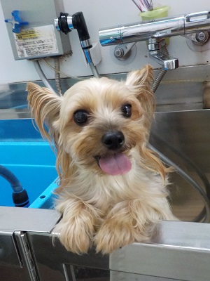 頑張ります！！