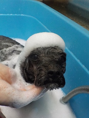 お風呂気持ち良い