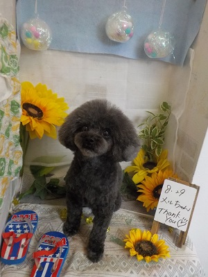 今日も可愛くなったよ♪