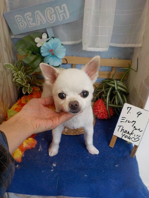 すっきり可愛くなった♪