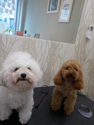 いつも通りね～