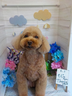 かわいくなった?