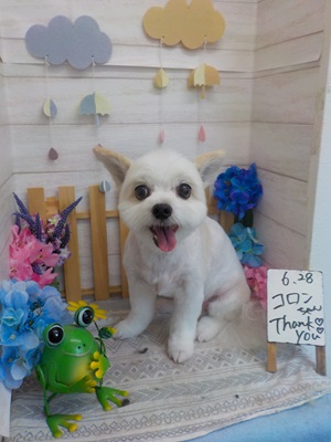 かわいくなった?