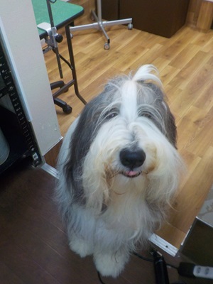 よろしく頼むな!