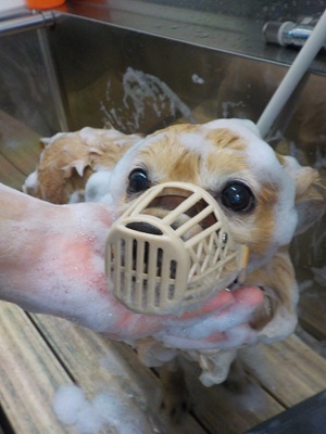 頑張ってますよ～