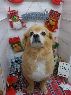 スッキリしたわ～