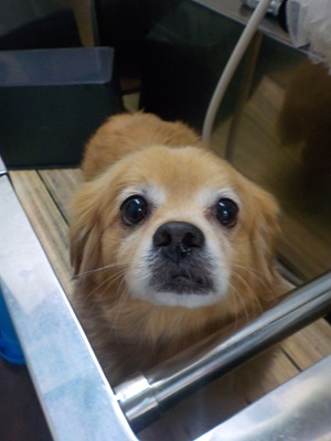 遅れてごめーん