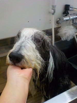 びちょびちょだよ~