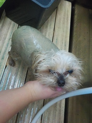 トータルケア♪