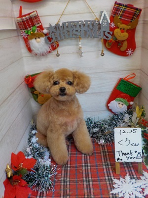 可愛くなった？