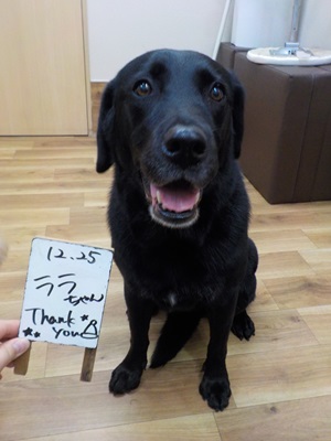 すっきりした♪ 