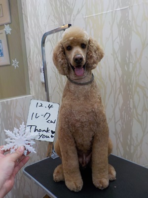 カッコよくなった？