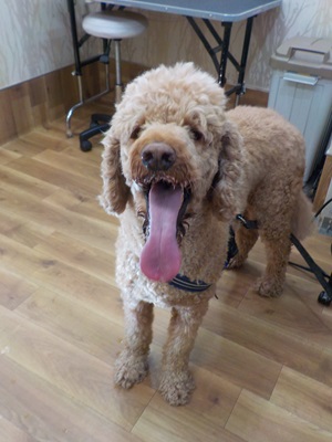 久しぶり～！！