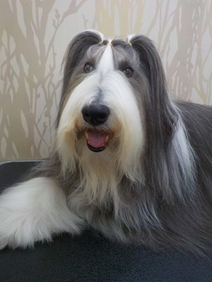 ふわふわになったよ～✨