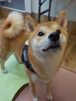 やっていくよ～