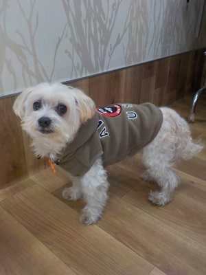 寒くなってきたね~