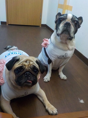 お揃いだよ~ん♡