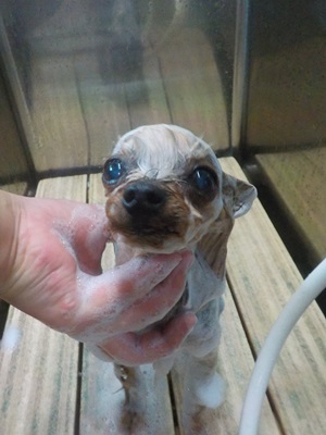 泡まみれ○o。.